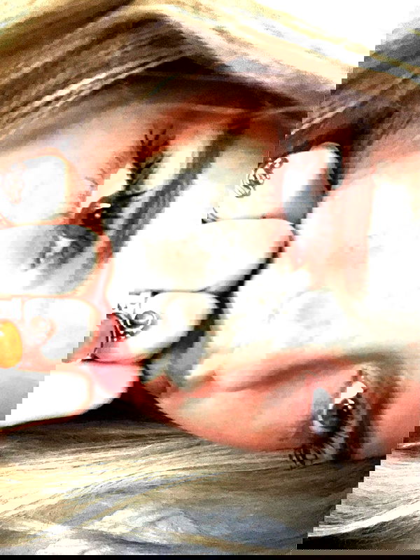 kitty.elliss kitty.elliss archive image