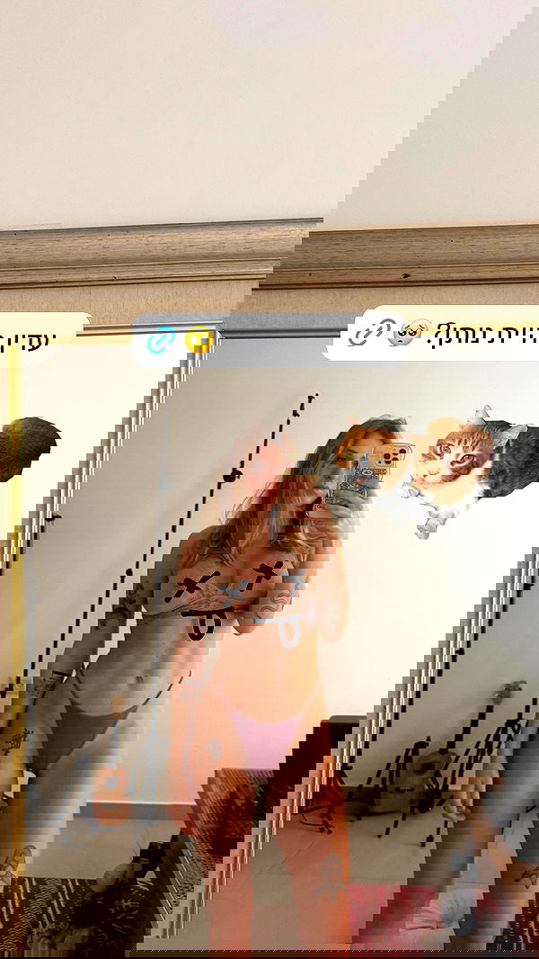 iambohema.v2 iambohema.v2 archive image