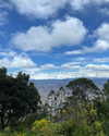 solzarubin_ Altpins Profile Picture