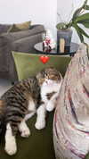 sonia_litvanchuk Altpins Profile Picture