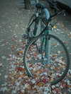 cannonstheband Altpins Profile Picture