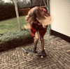 surfsterre Altpins Profile Picture