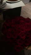 orian_hana_ Altpins Profile Picture