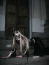 melanin__p Altpins Profile Picture