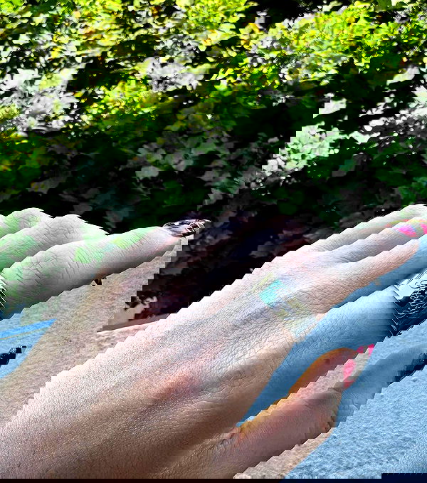 jtilb2 image ~ Altpins