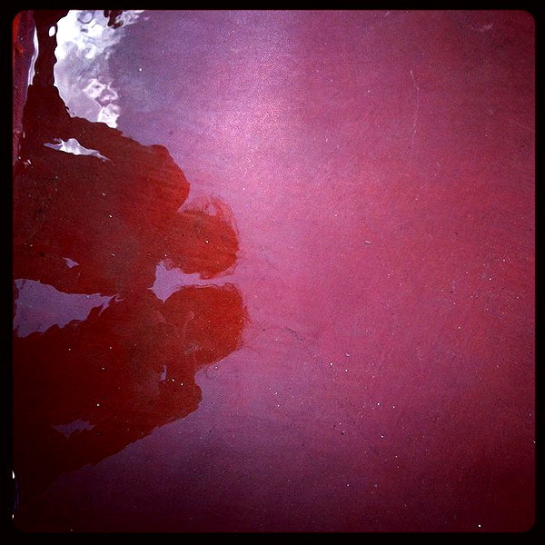 yuval_raz instagram image archive image