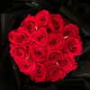 ehcico Altpins Profile Picture