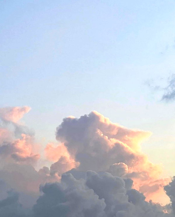 zoeliss instagram image archive image