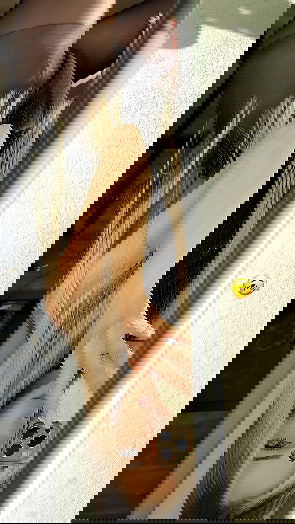 pinx_ir pinx_ir archive image