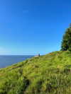 daisy_r_19 Altpins Profile Picture