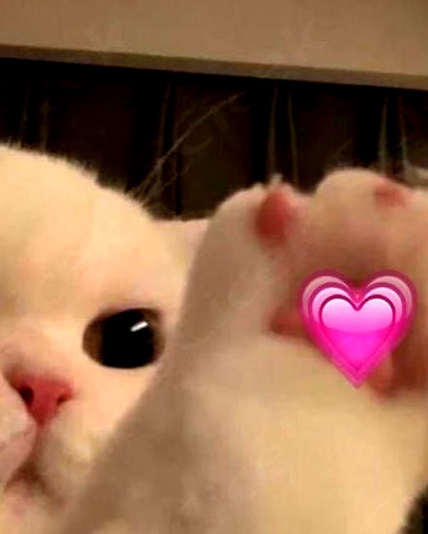 bakabakafuwa instagram image archive image