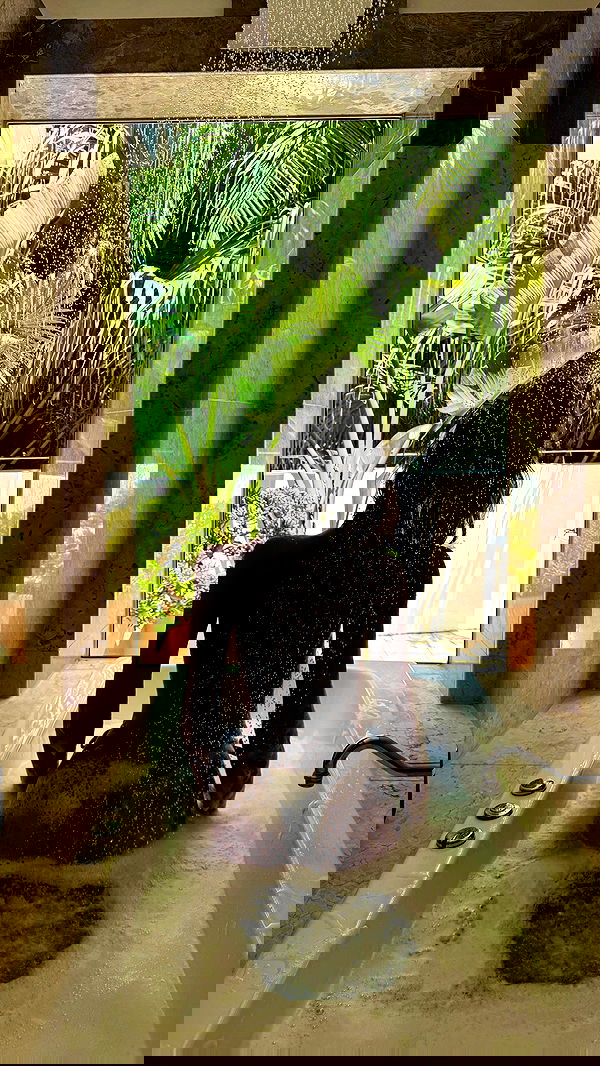 taylor.creeden taylor.creeden archive image