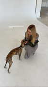 lilih Altpins Profile Picture