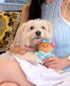 dear.zia Altpins Profile Picture