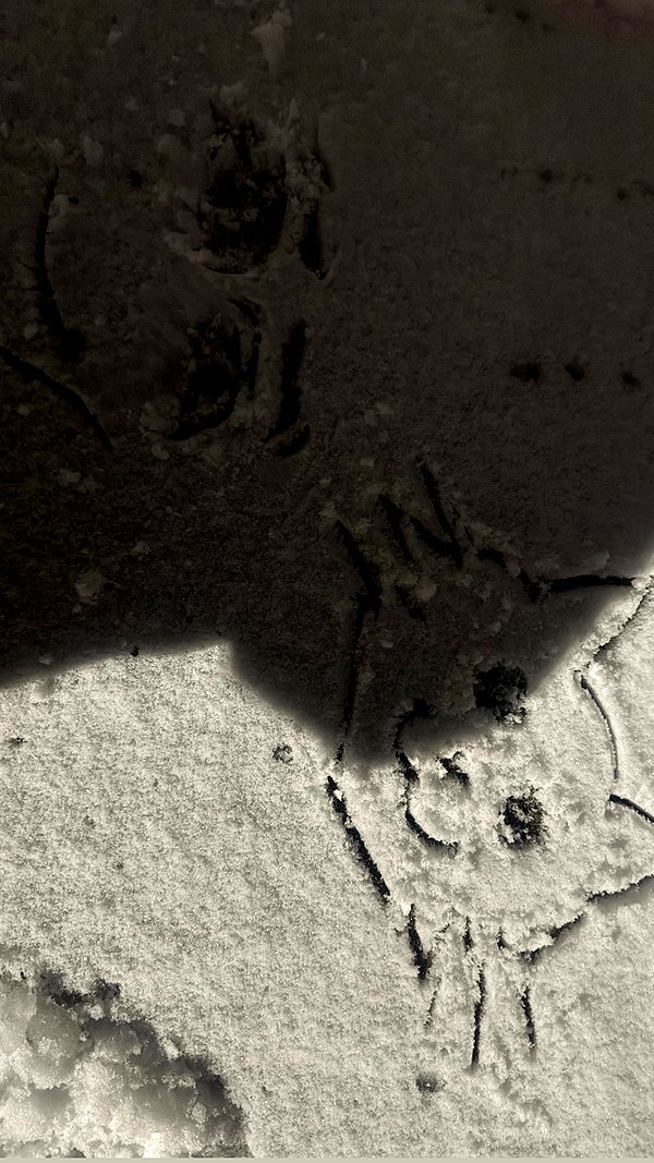 cellow111 instagram image archive image