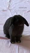 neiimaaa Altpins Profile Picture