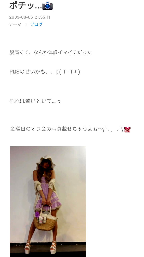piyokoblog archive image