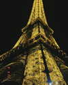 daryanedarya Altpins Profile Picture