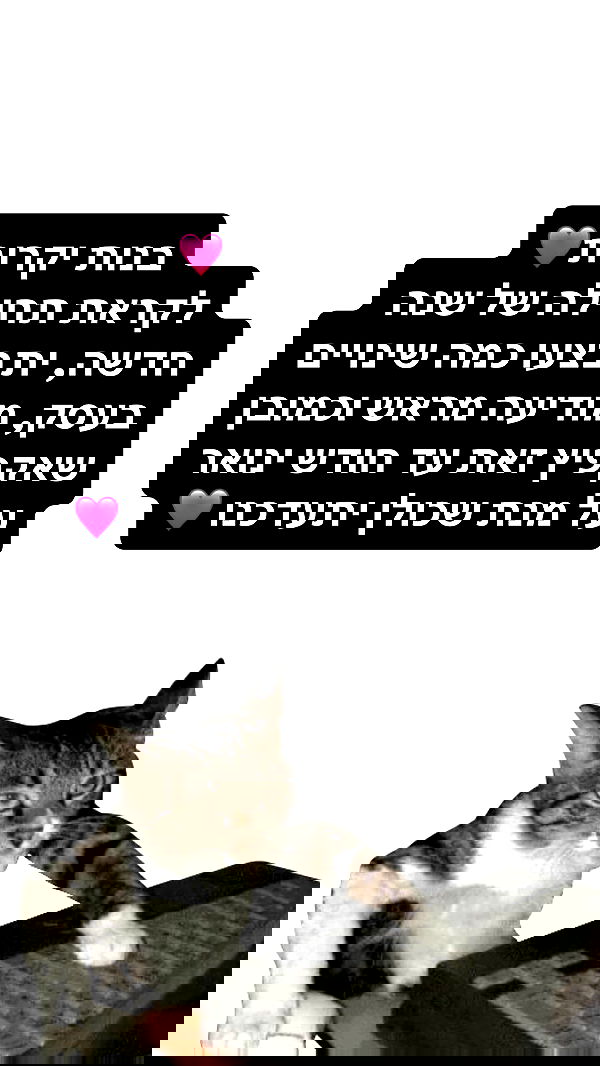 nails.by.natashi nails.by.natashi archive image