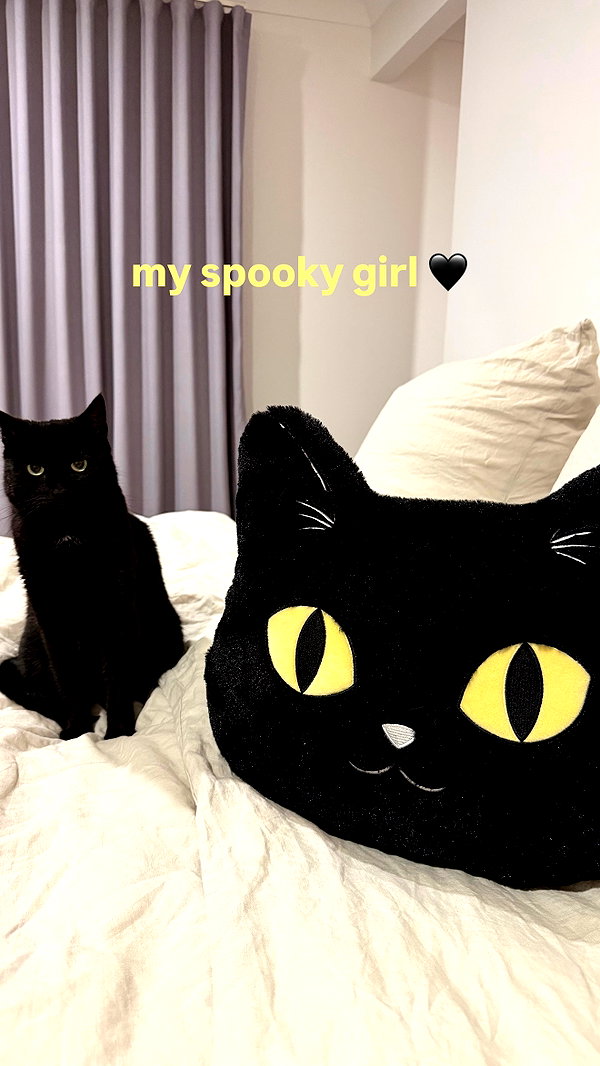 lara.roseb instagram image archive image
