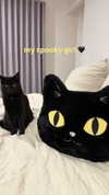lara.roseb Altpins Profile Picture