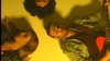 cannonstheband Altpins Profile Picture