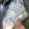 haileylayfield Altpins Profile Picture