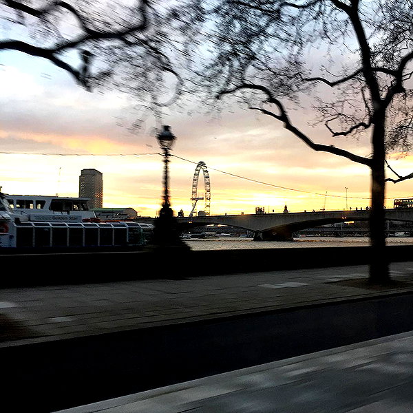 kafelnikova_a instagram image archive image