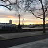 kafelnikova_a Altpins Profile Picture