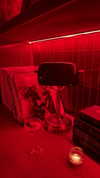 gabydayan Altpins Profile Picture