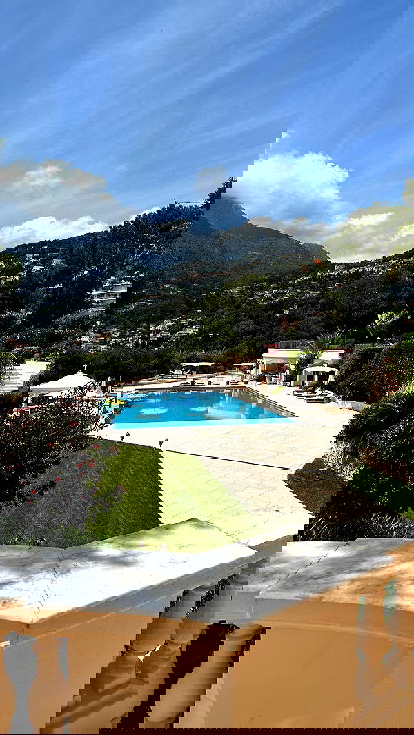 taylor.creeden taylor.creeden archive image