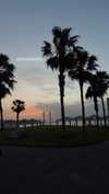 _._dianush._ Altpins Profile Picture