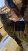 angel699k Altpins Profile Picture