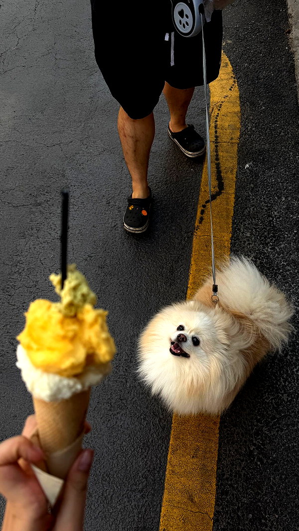tgiangya instagram image archive image