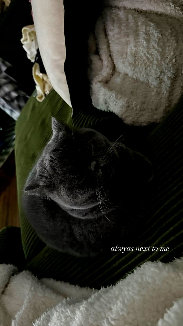 sophadophaa_ instagram image archive image