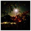 katehudson Altpins Profile Picture