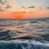 ariana_vomi Altpins Profile Picture