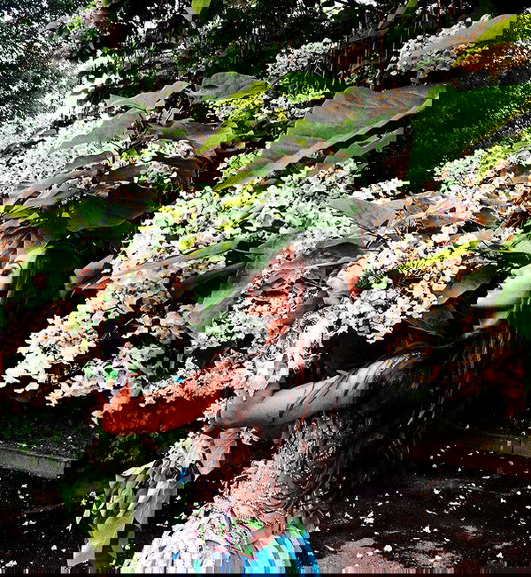 kkulakovaa image ~ Altpins