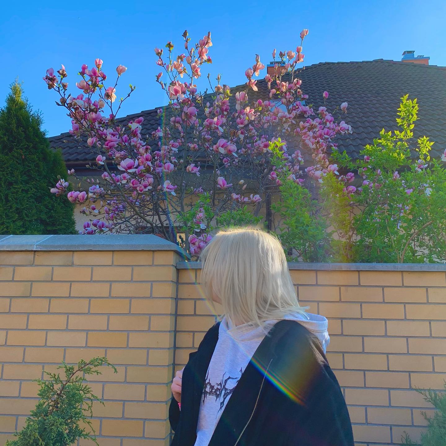 annfigmax instagram image archive image