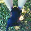 _urbaneva Altpins Profile Picture