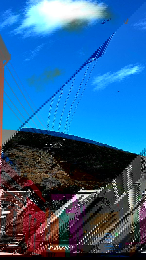 taylor.creeden taylor.creeden archive image