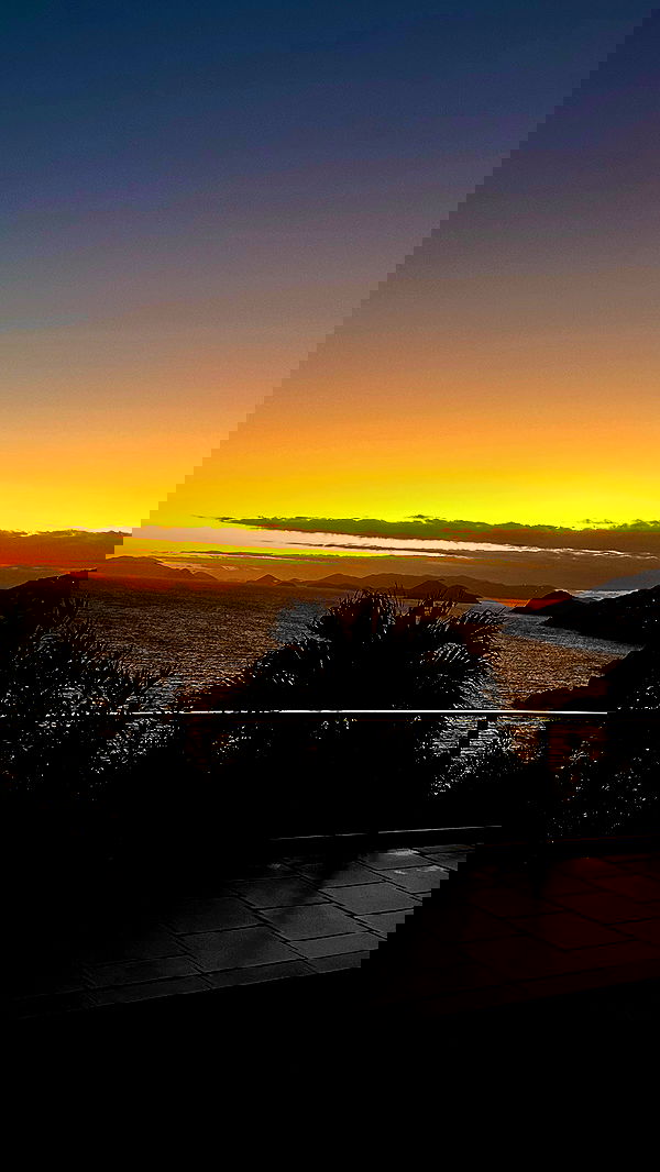 taylor.creeden taylor.creeden archive image