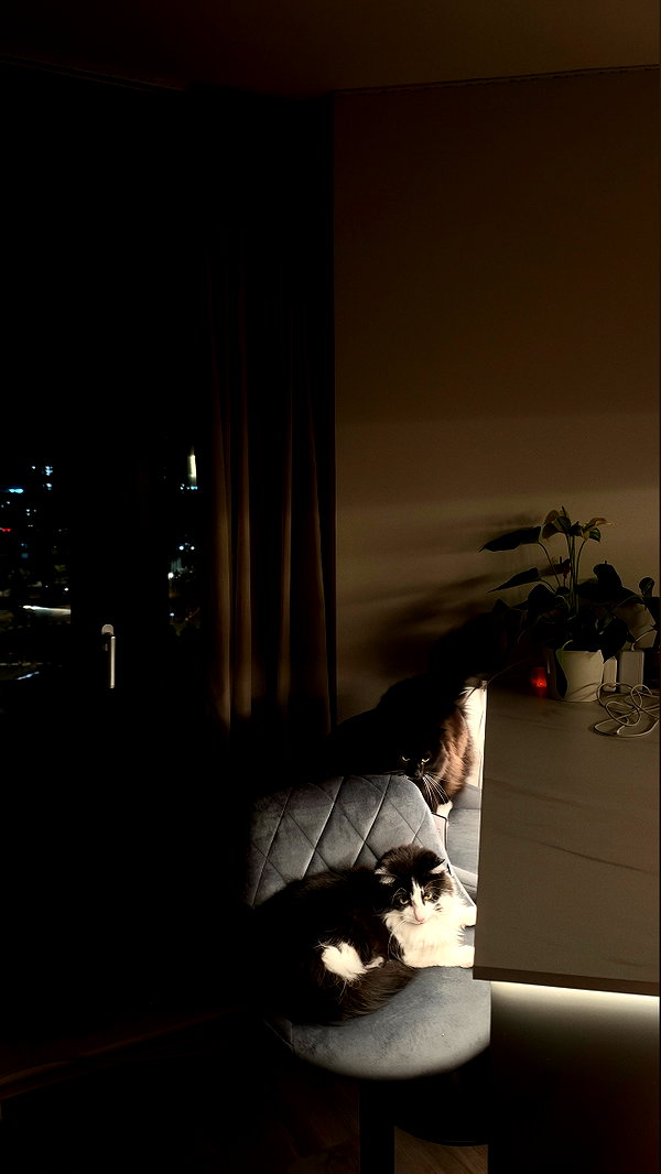 brookee.vnm instagram image archive image