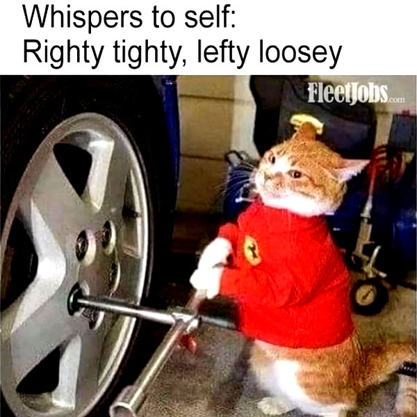 leanbeefpatty instagram image archive image