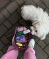 zoeliss Altpins Profile Picture