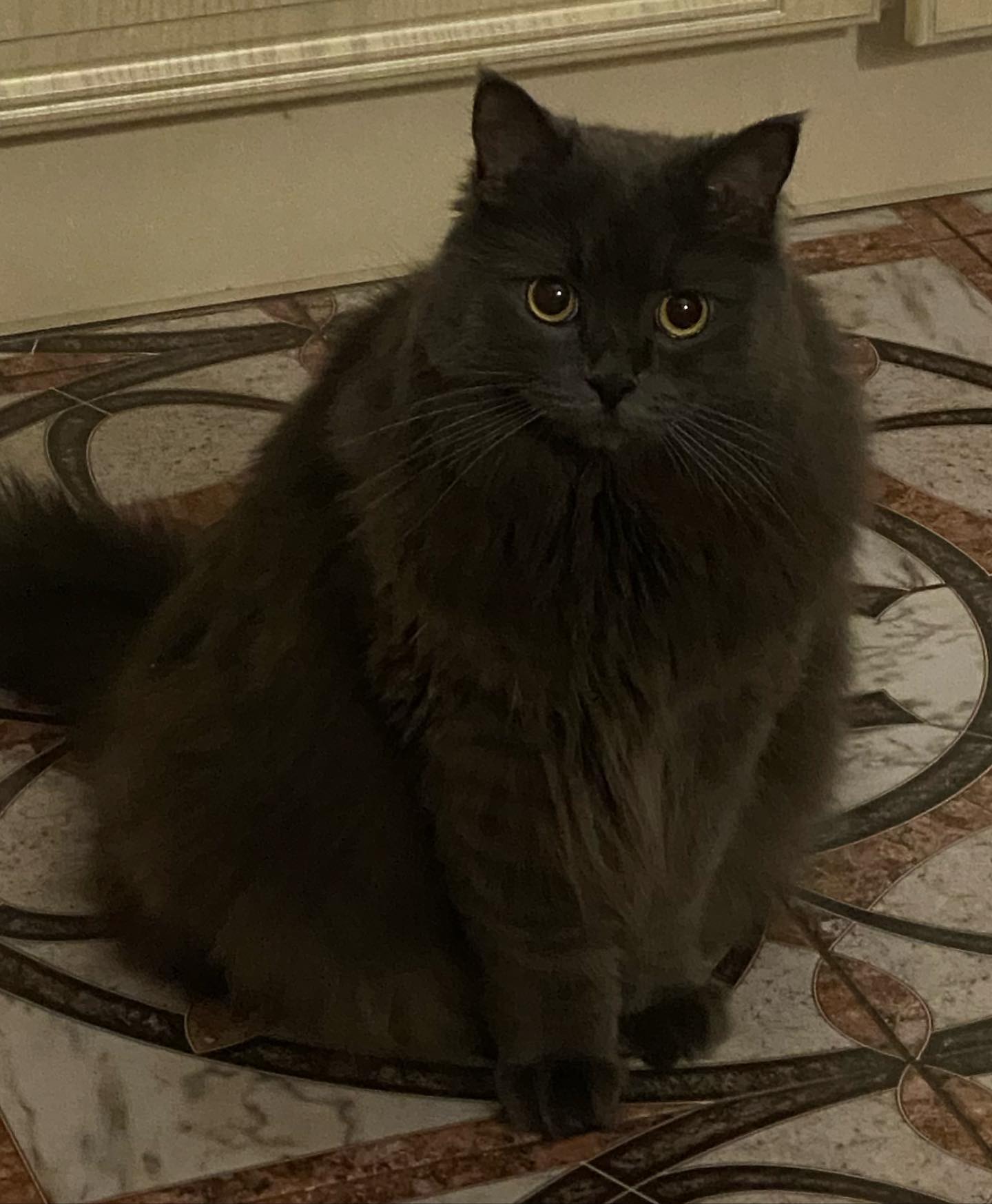 kkulakovaa instagram image archive image