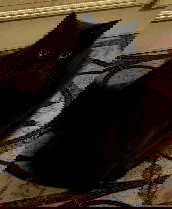 kkulakovaa image ~ Altpins