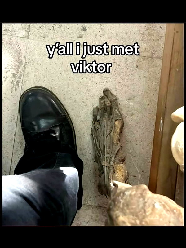 gmuhvo instagram image archive image