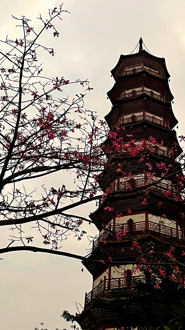 dwpolin instagram image archive image