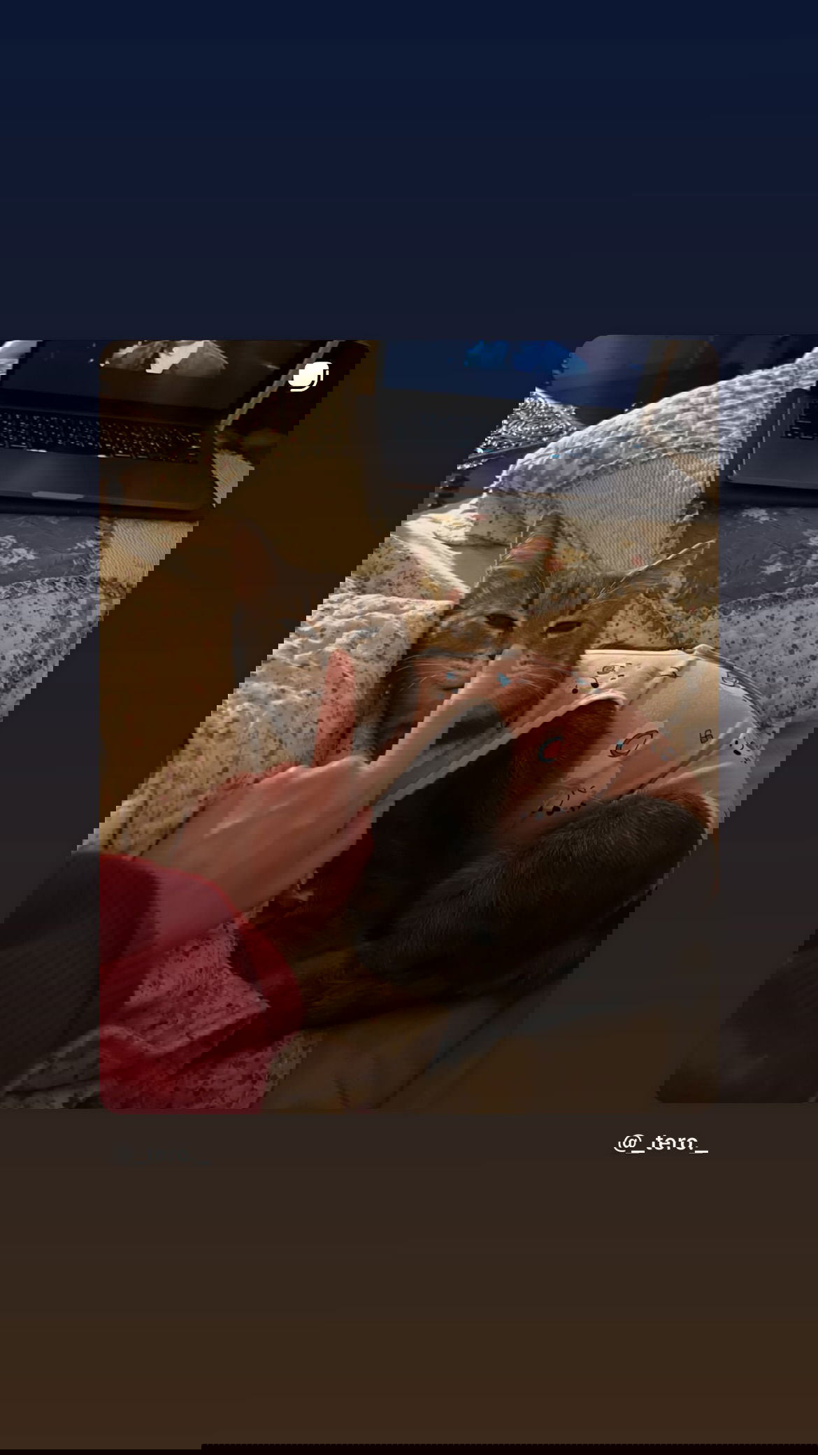 _tero._ instagram image archive image